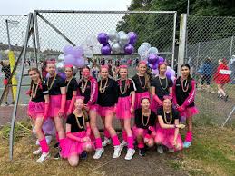 Image result for Onslow Pink Panthers Junior Netball Club