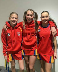 Image result for Brigg & District Netball Club