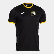 Image result for Aberdare Rugby Union Football Club