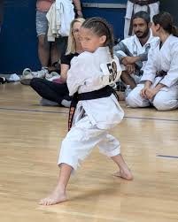 Image result for Junsui Shotokan Karate Do