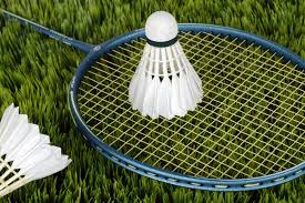 Image result for Active Lives Badminton Club