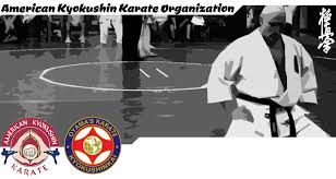 Image result for Kyokushin Karate
