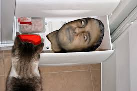 Image result for 241543903