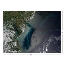 Image result for Peninsula Sub Aqua