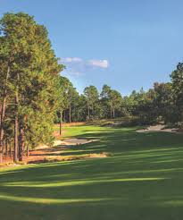 Image result for Moore Place Golf Club