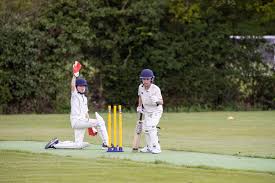 Image result for Cranleigh Cricket Club