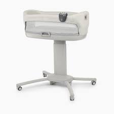 Znalezione obrazy dla zapytania chicco