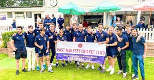 Image result for Chertsey Cricket Club