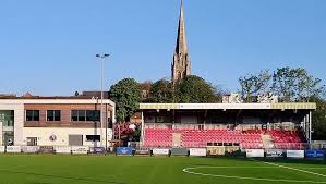 Image result for Dorking Football Club Limited