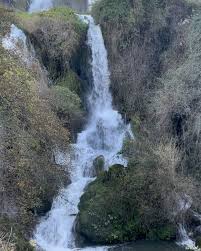 Image result for ,diqJABBBiNV