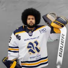 Image result for Romford Raiders