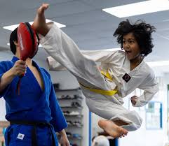 Image result for Park's Martial Arts