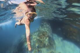 Image result for St. Albans Snorkelling Club (SASC)