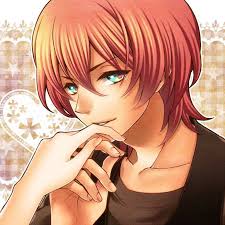 「月宮林檎」の画像検索結果