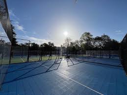 Image result for Battersea Park Millennium Arena