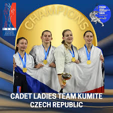 Image result for Eurokwai Shotokan Karate Club