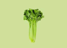 Image result for Sellerie