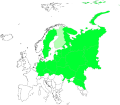 Attēlu rezultāti vaicājumam “Astragalus arenarius”