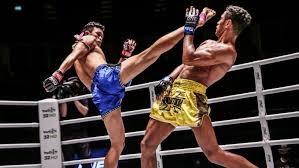 Image result for Precision MMA Mixed Martial Arts Training