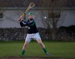Image result for hurling
