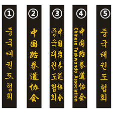 Image result for Absolute tae kwon do association