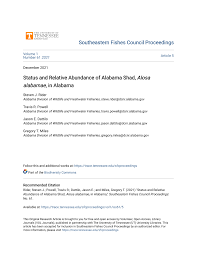 Image result for Alosa alabamae