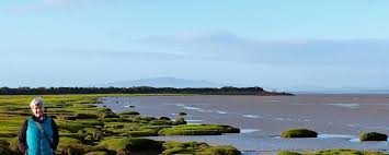 Image result for Solway