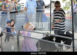 Image result for Orbit Stroller Rebecca Gayheart and Billie Beatrice
