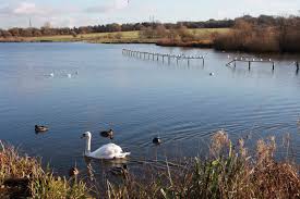 Image result for Sandwell Valley Sailing Club