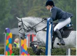 Image result for Elstead Riding Club