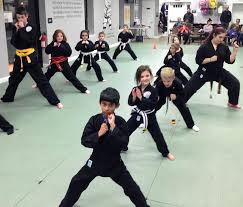 Image result for Action Karate