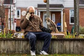 Image result for Haydock Hunters Speedminton Club