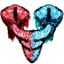 Image result for SP_FACE1