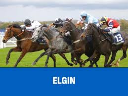 Image result for Elite Racing Club