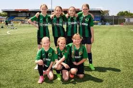 Image result for Warsash Wasps Sports & Football Club