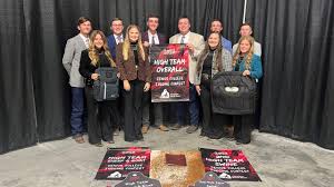 Image result for Teamsheep