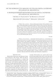 Attēlu rezultāti vaicājumam “Ptilium crista-castrensis sporophyte”