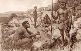 Attēlu rezultāti vaicājumam “Harmandia”