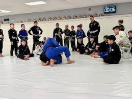 Image result for Taunton Karate academy