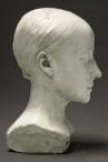 Phrenology in the Pacific