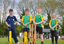 Image result for Wrecclesham Cricket Club