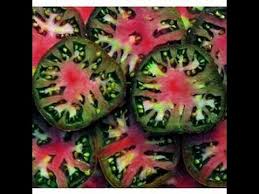 Afbeeldingsresultaat voor black sea man tomato