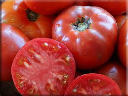 Afbeeldingsresultaat voor kosmonaut volkov 68D tomato