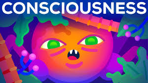 Image result for consciousness