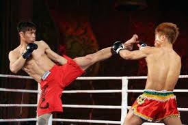 Image result for Southgate T`ai Tsung Chinese Boxing