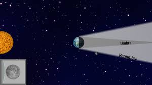 Attēlu rezultāti vaicājumam “Panolis umbra”