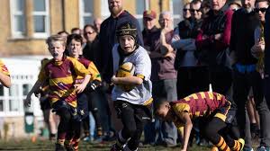 Image result for Ipswich Ym Rugby Union Football Club
