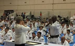 Image result for Bournemouth Shorinji Kempo Club