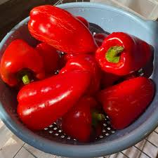 Afbeeldingsresultaat voor lipstick hot pepper