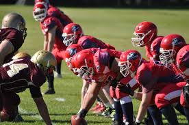 Image result for Ipswich Cardinals American Football Club